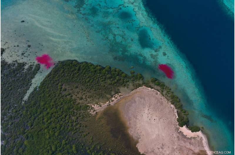 Drones Reveal Water Flow Patterns Along the Red Sea Coast