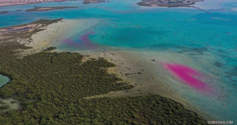 Drones Reveal Water Flow Patterns Along the Red Sea Coast