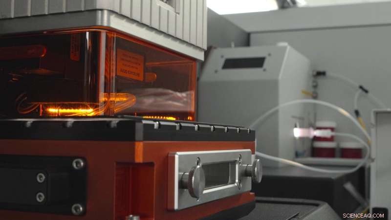 Ancient Carbon Release Patterns Offer Insights into Future Climate Scenarios