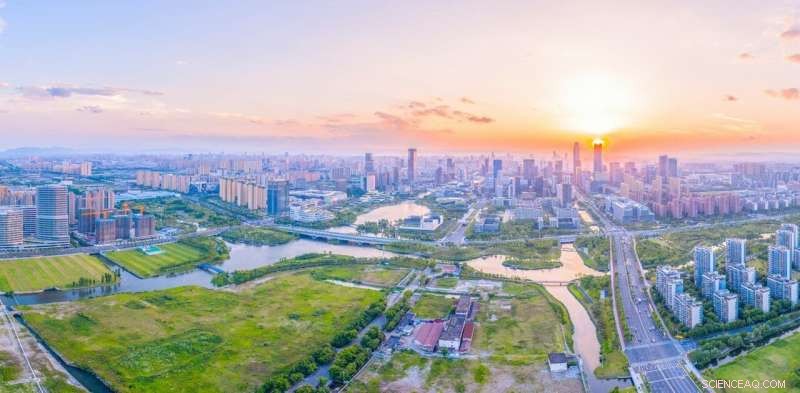 Beyond Flood Barriers: How Coastal Megacities Must Adapt to Rising Sea Levels