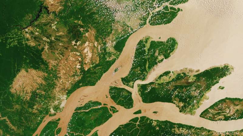 How Bolsonaro Supporters Distort Satellite Data on Amazon Deforestation