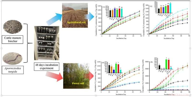 Cattle Manure Biochar Can Offset Earthworm-Driven CO₂ and N₂O Emissions in Forest Soil