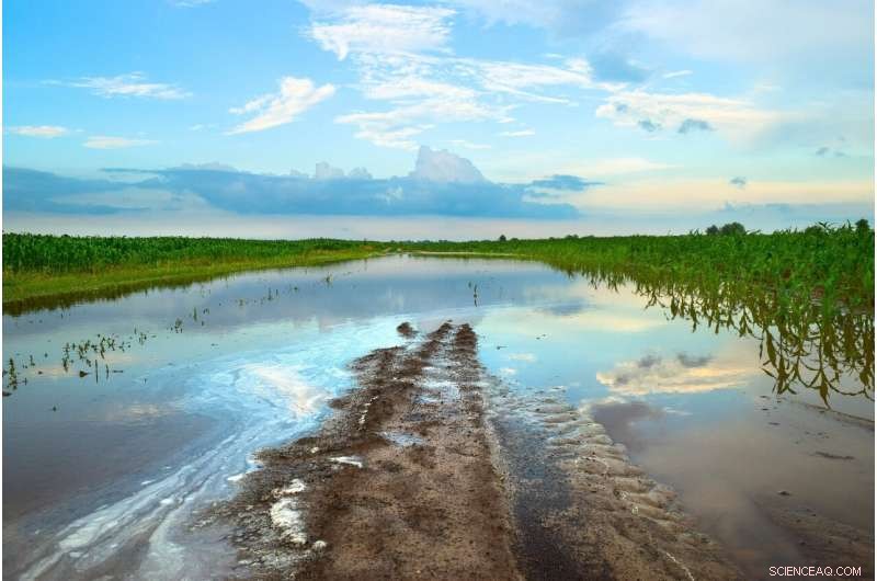 Miami Beach’s New Road‑raising Initiative: Who Will Be Affected by Flooding?