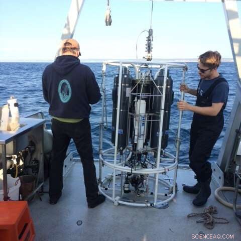 Microbe That Hunts for Carbon: A Tiny Ocean Predator Could Help Fight Climate Change