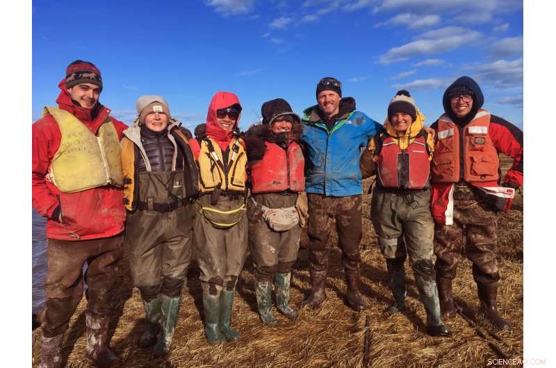 UMass Amherst Study Reveals How Salt Marshes Accumulate Sediment