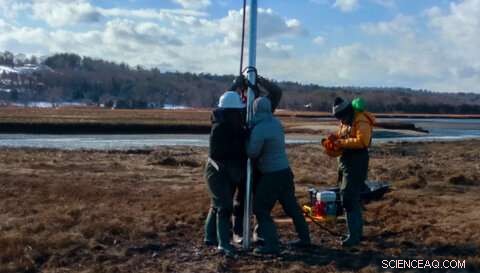 UMass Amherst Study Reveals How Salt Marshes Accumulate Sediment
