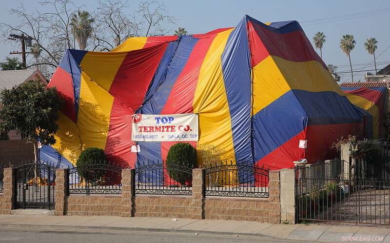 Scientists Pinpoint Primary Source of Rare, Devastating Greenhouse Gas