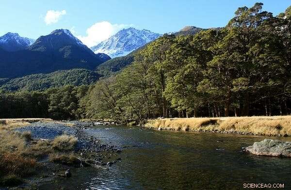 New Zealand s Review of Ecologically Important Land Risks Increased Mining on Conservation Areas