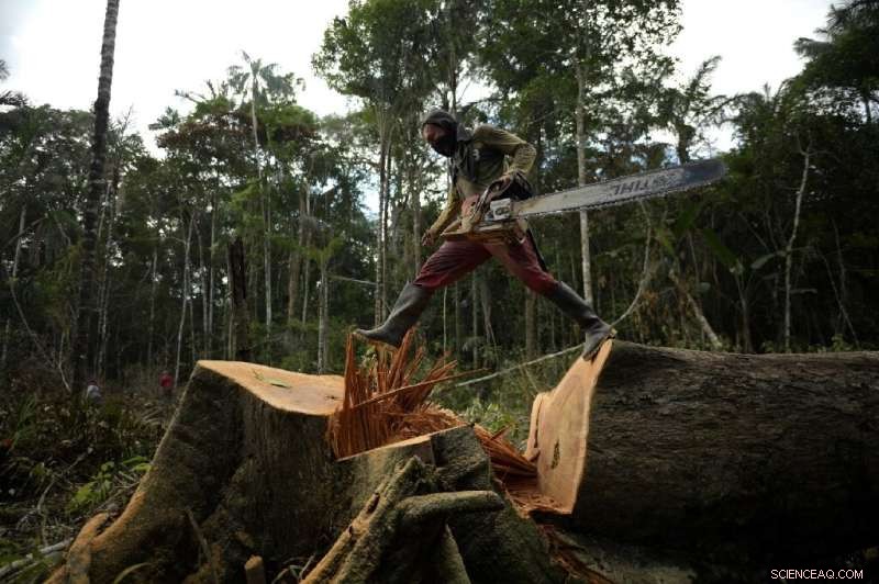 Amazon Approaches Climate Tipping Point Faster Than Predicted