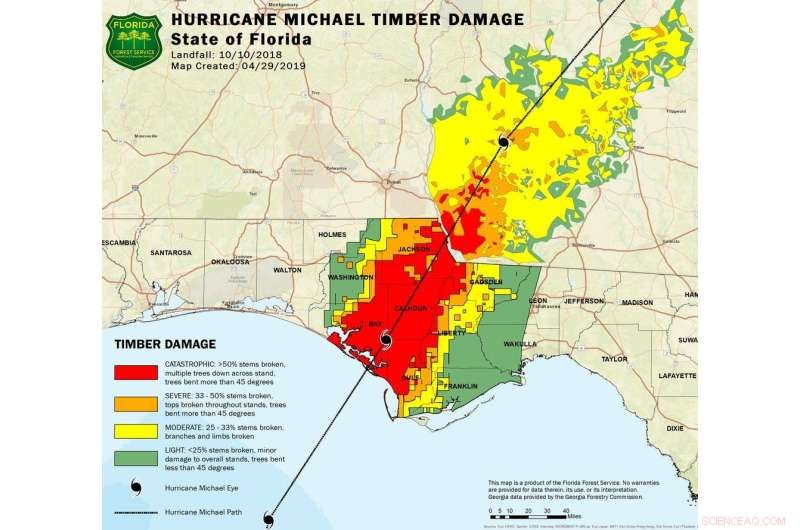 How Hurricane Michael Set the Stage for 2022 Wildfires in Florida’s Panhandle