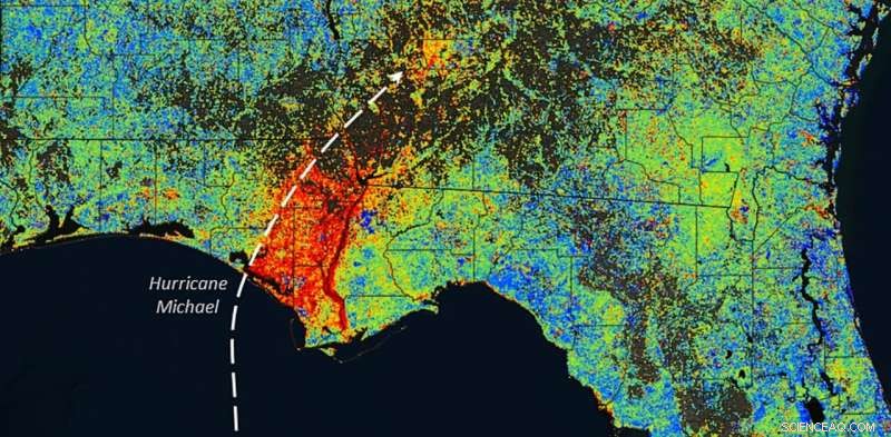 How Hurricane Michael Set the Stage for 2022 Wildfires in Florida’s Panhandle