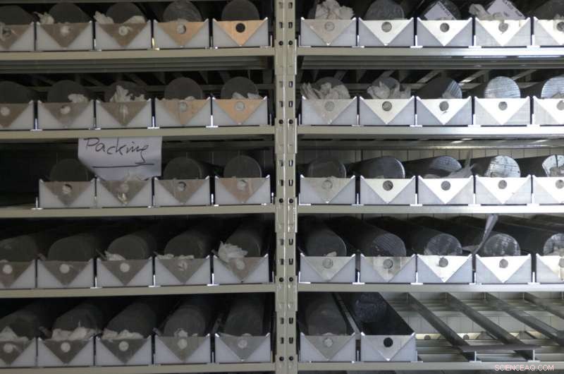 Ancient Photosynthesis Responded Rapidly to Rising CO₂ Levels, New Ice Core Study Shows