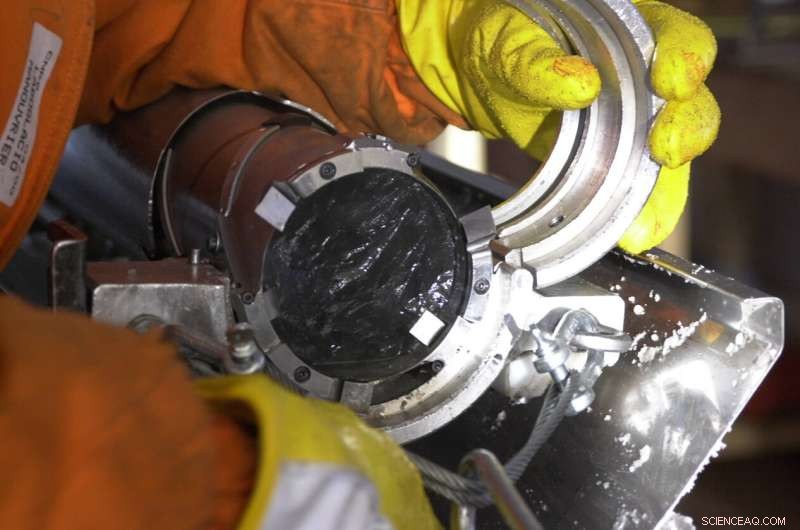 Ancient Photosynthesis Responded Rapidly to Rising CO₂ Levels, New Ice Core Study Shows