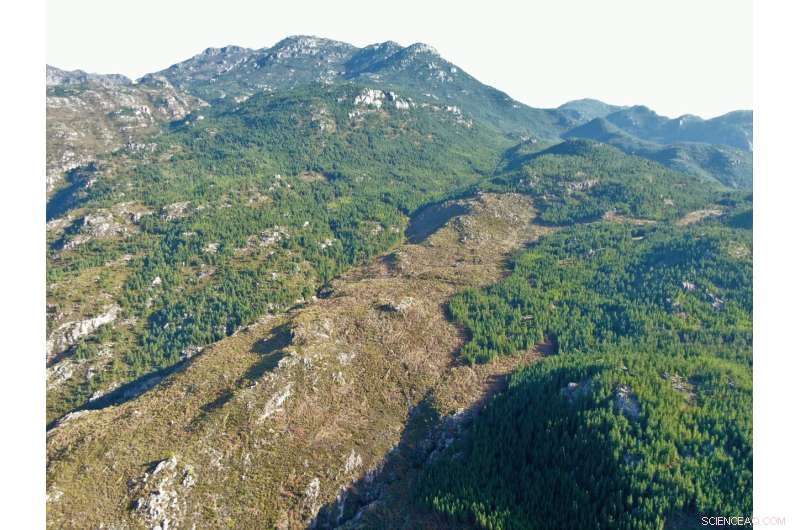 Mountain-Based Nature Solutions Reduce Climate Change Impact on Drought