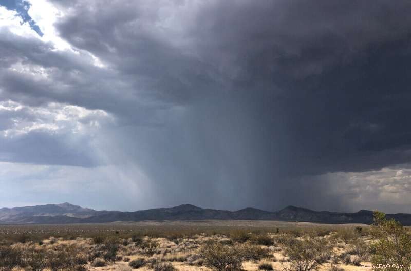 Desert Microbes Release Powerful Greenhouse Gas Following Rainfall