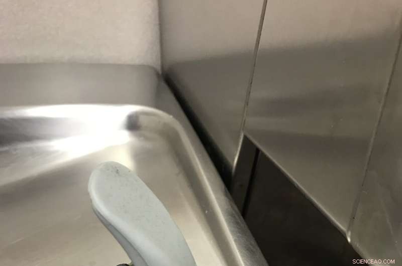 Impact of Low Water Usage on Office Building Water Quality