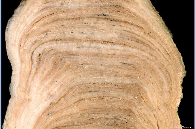 Stalagmites Reveal Climate History and Volcanic Impact