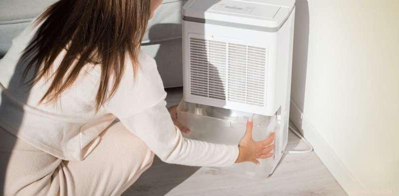 Expert Guide to Choosing a Dehumidifier: Protect Your Home from Mold and Damp