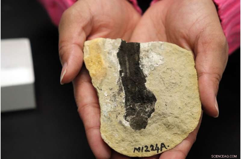 Exceptional Fossil Preservation May Result from Ancient Climate Shifts