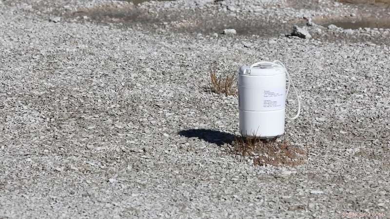 Using Leaking Modes to Unveil Earth s Underground Structure