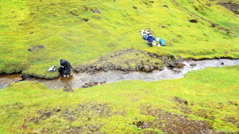 Global Ecosystems and Greenhouse Gas Emissions: New Research Insights