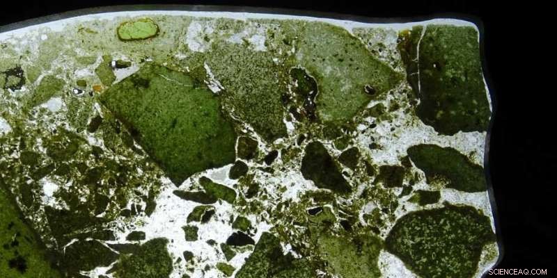 Tracing Life’s Imprints in Earth’s Lower Mantle