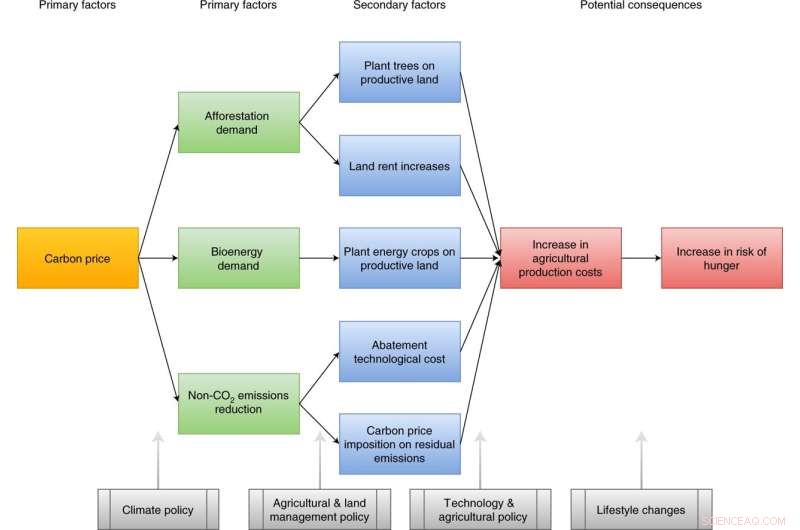 How Climate Mitigation Strategies Influence Food Security