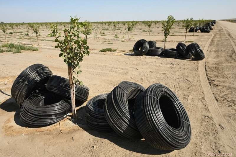 Maladaptation: Avoiding Common Pitfalls in Climate Change Response