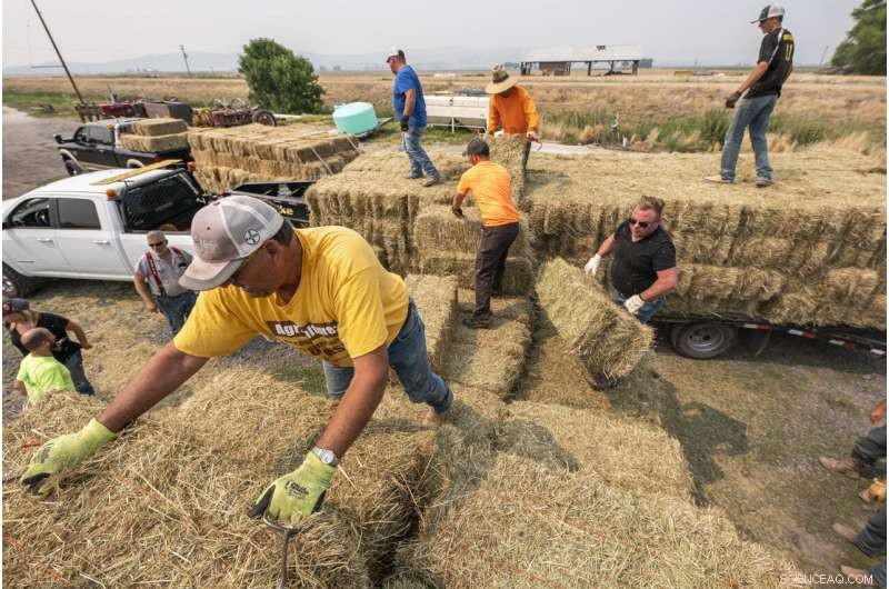 Experts Warn Oregon and Idaho Facing Intensifying Drought This Summer