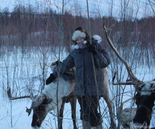 Arctic Climate Alerts: Urgent Insights from Indigenous Research