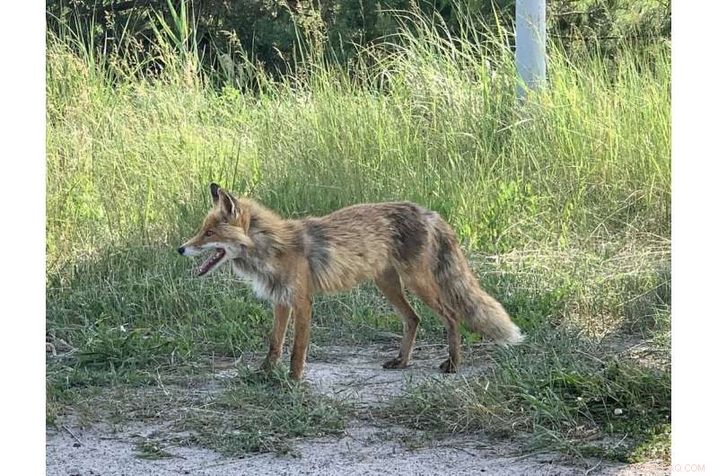 Military Actions Near Chernobyl Pose Serious Threats to People and the Environment