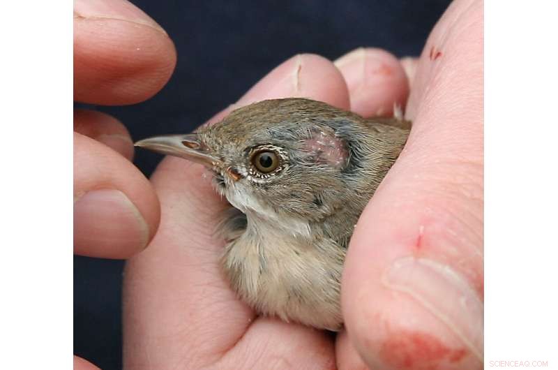 Military Actions Near Chernobyl Pose Serious Threats to People and the Environment