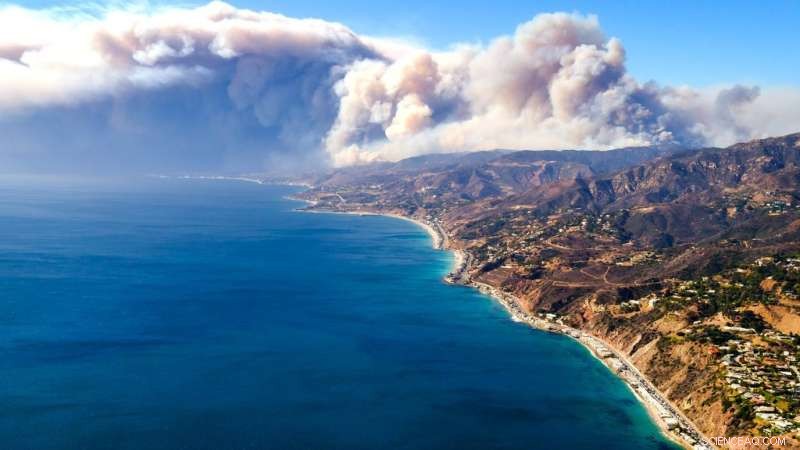 Southern California Wildfire Drastically Raises Bacteria Levels and Cloudiness in Coastal Waters