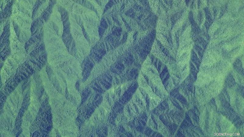 Thirstier Mountain Forests During Droughts May Reduce Downstream Water Flow