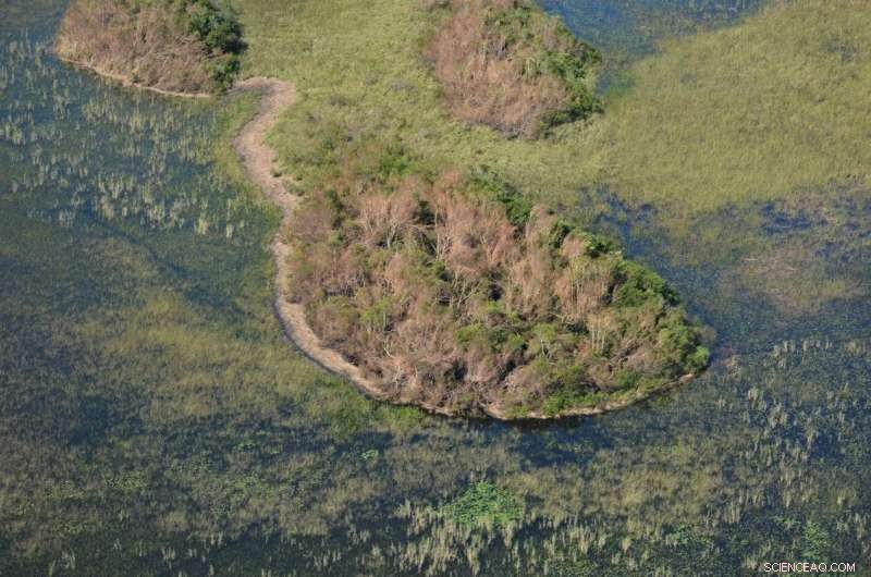 New Study Uncovers Trade-offs Between Ecosystem Resistance and Resilience to Tropical Cyclones