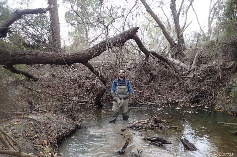 New Study Uncovers Trade-offs Between Ecosystem Resistance and Resilience to Tropical Cyclones