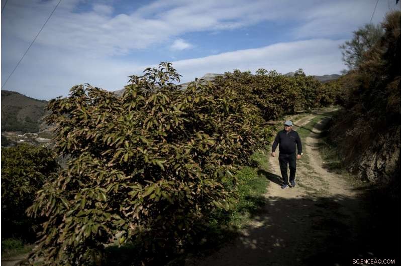 UN Report: Climate Warming Destroys European Water Resources, Endangering Crops