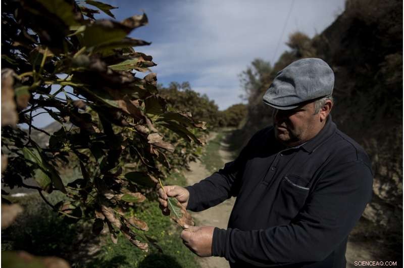 UN Report: Climate Warming Destroys European Water Resources, Endangering Crops