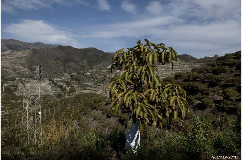 UN Report: Climate Warming Destroys European Water Resources, Endangering Crops