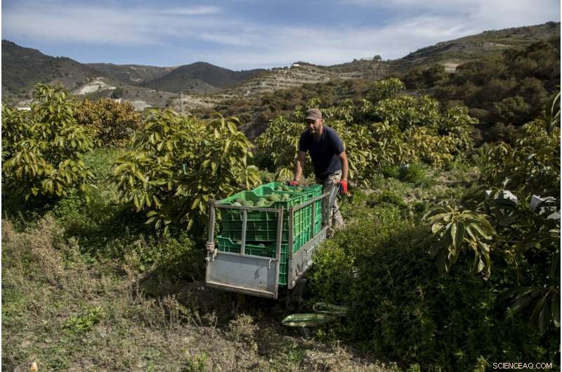 UN Report: Climate Warming Destroys European Water Resources, Endangering Crops