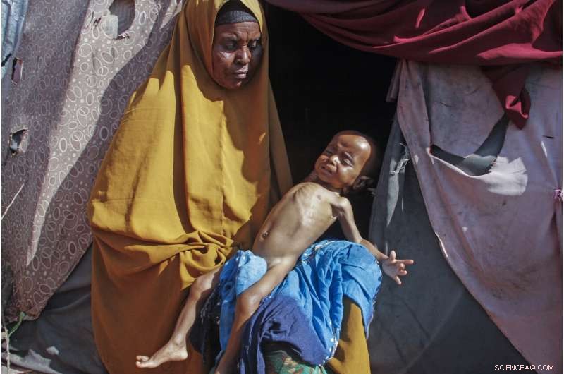 UN Warns: Africa s Climate Crisis Intensifies as Global Warming Escalates