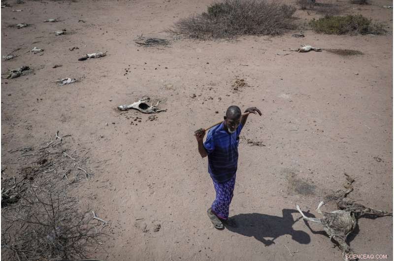 UN Warns: Africa s Climate Crisis Intensifies as Global Warming Escalates