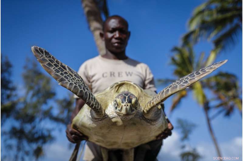 UN Warns: Africa s Climate Crisis Intensifies as Global Warming Escalates