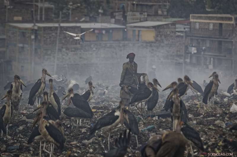 UN Warns: Africa s Climate Crisis Intensifies as Global Warming Escalates