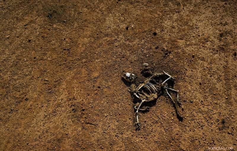 UN Warns: Africa s Climate Crisis Intensifies as Global Warming Escalates