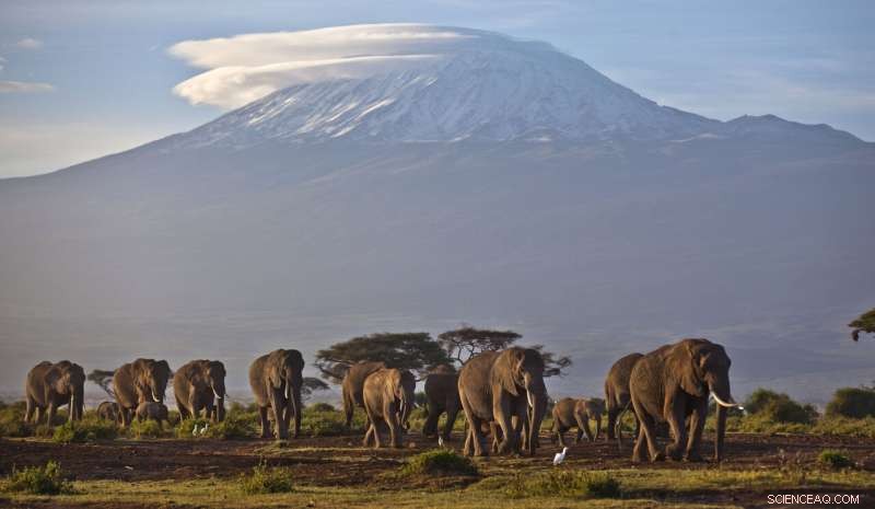 UN Warns: Africa s Climate Crisis Intensifies as Global Warming Escalates