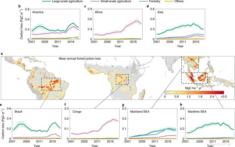 Satellite Data Reveal Global Tropical Forest Carbon Loss Doubling Over 20 Years