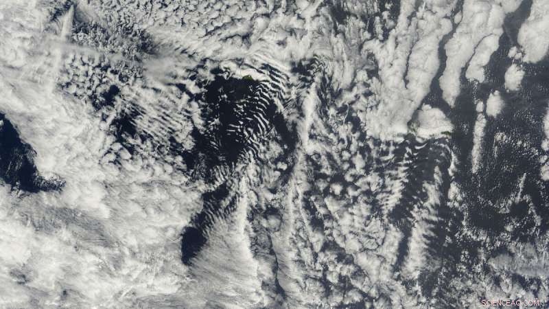 The Impact of Marine Gases on Cloud Formation: Insights for Climate Science