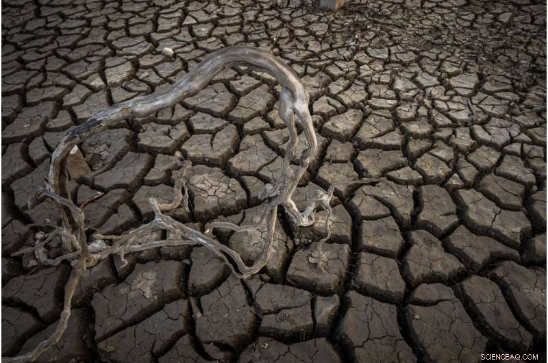 UN Climate Report Highlights Growing Human Suffering: A Call to Action