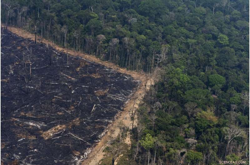 UN Climate Report Highlights Growing Human Suffering: A Call to Action